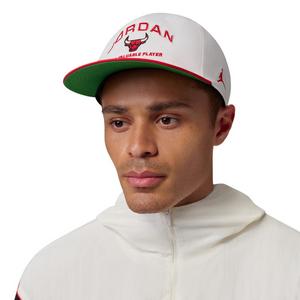 Jordan Adult Chicago Bulls NBA Pro Snapback Hat