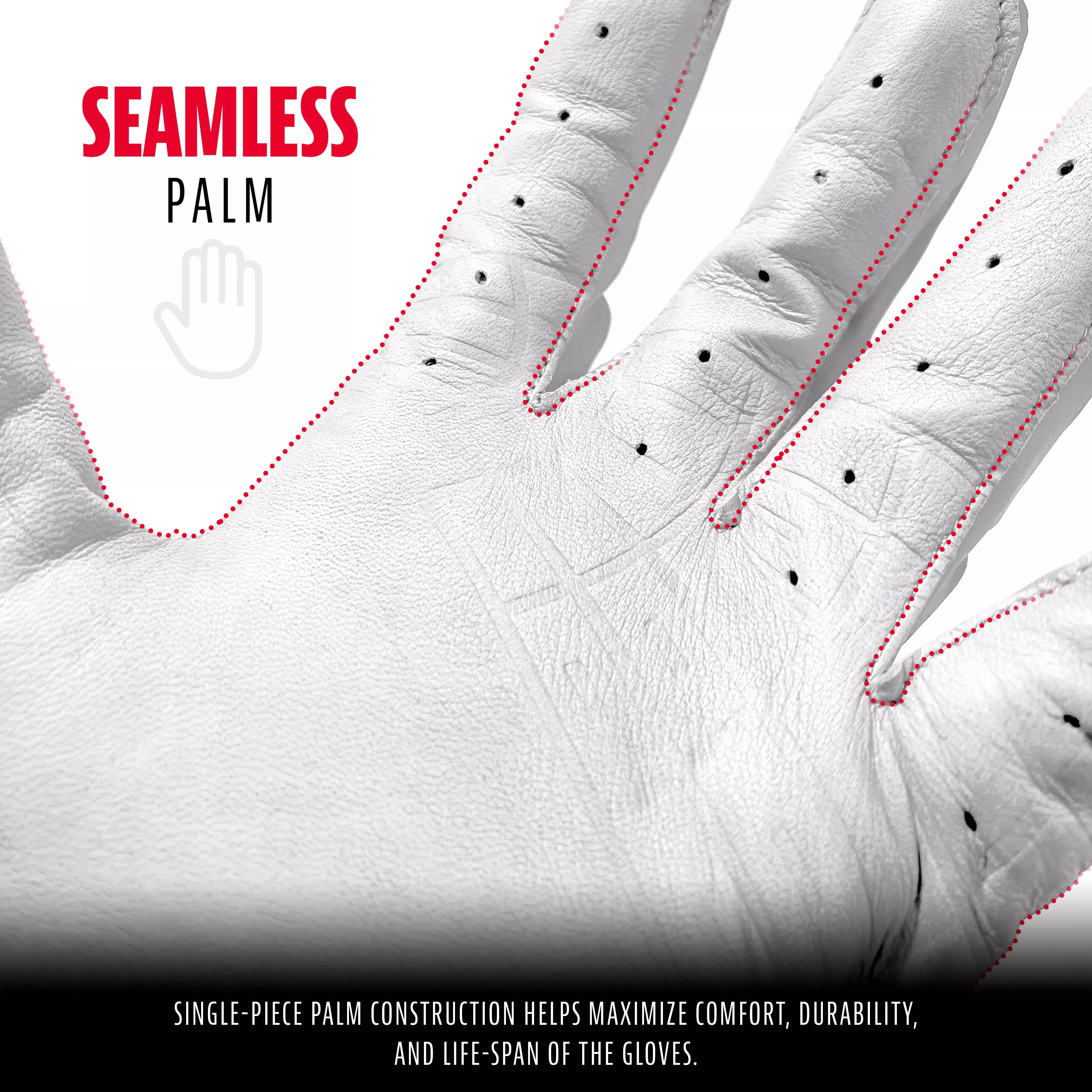 Franklin Adult Powerstrap Batting Gloves White - WHITE