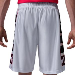 Jordan Men's Cat Scratch Brooklyn Shorts