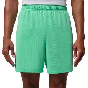 Jordan Men's Sports Essentials Dri-FIT Shorts