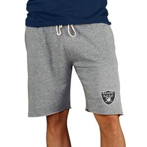 Nike Men's Las Vegas Raiders '23 Fleece Crewneck Sweater - Hibbett