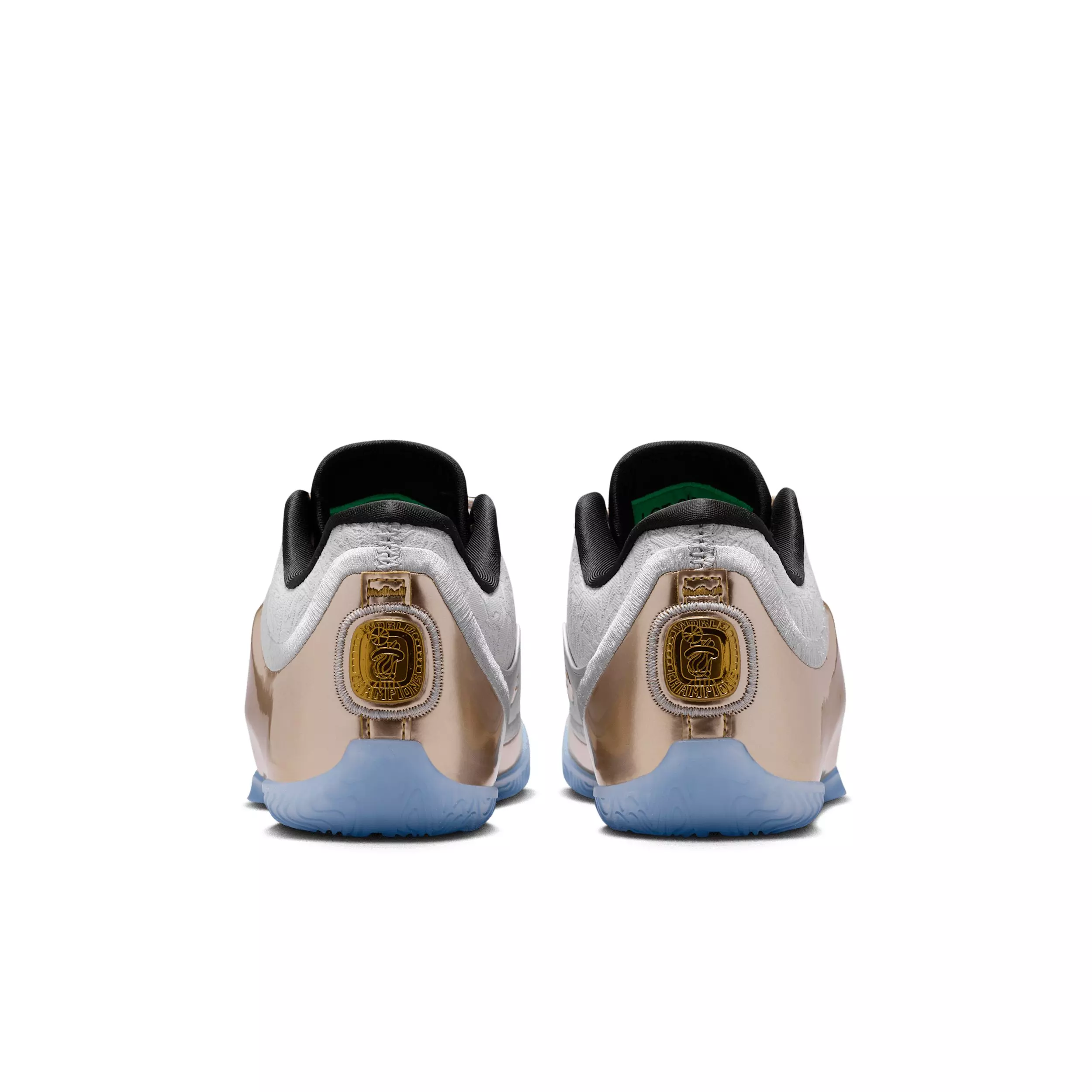 Nike LeBron XXIII "Dusty Cactus" Grade School Kids' Basketball Shoe - SILVER/CACTUS/BLACK/MULTICOLOR