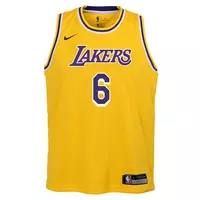 Nike Youth Los Angeles Lakers Lebron James Icon Edition Swingman Jersey - GOLD