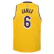Nike Youth Los Angeles Lakers Lebron James Icon Edition Swingman Jersey - GOLD Thumbnail View 2