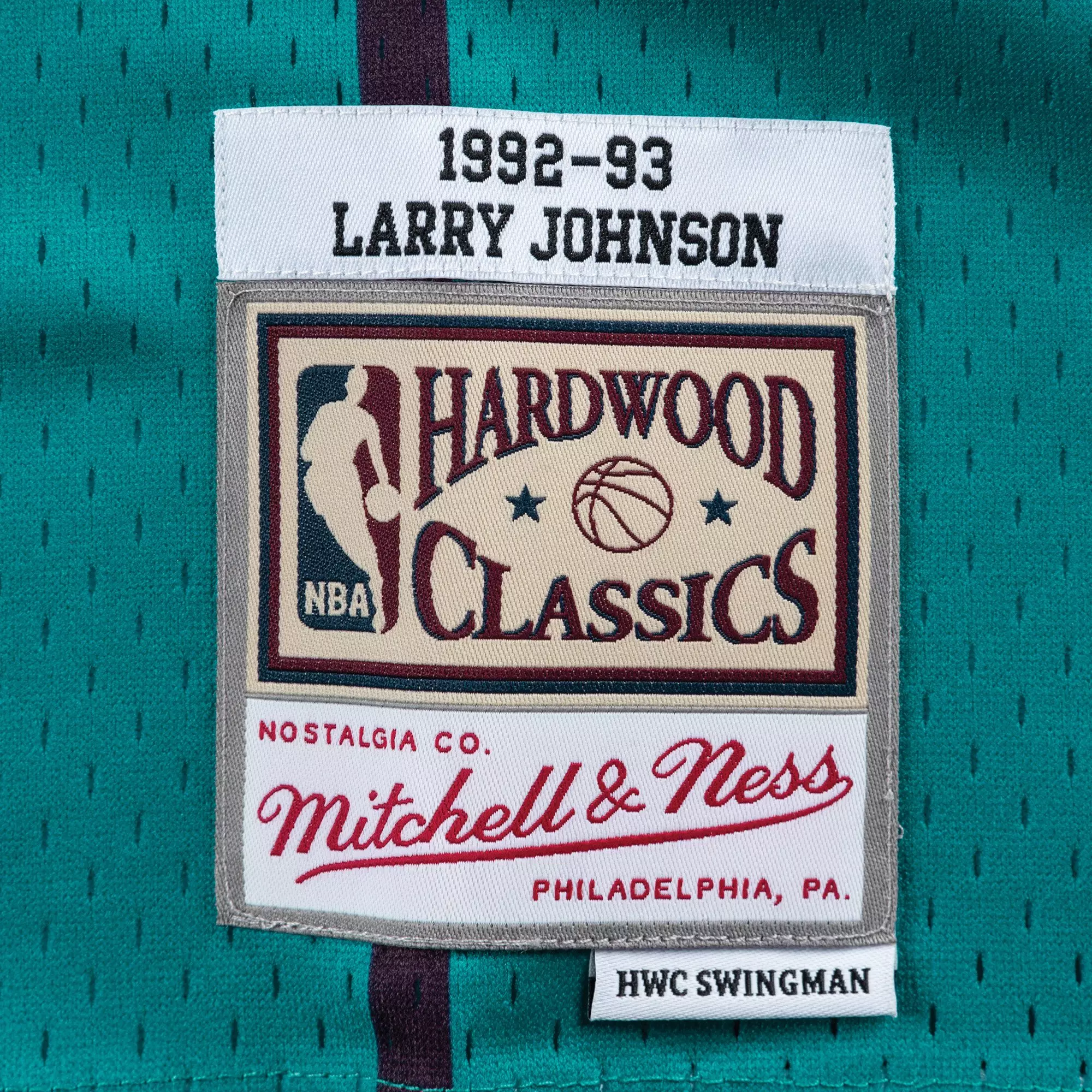 Mitchell & Ness Charlotte Hornets Larry Johnson Swingman Jersey-Teal - TEAL