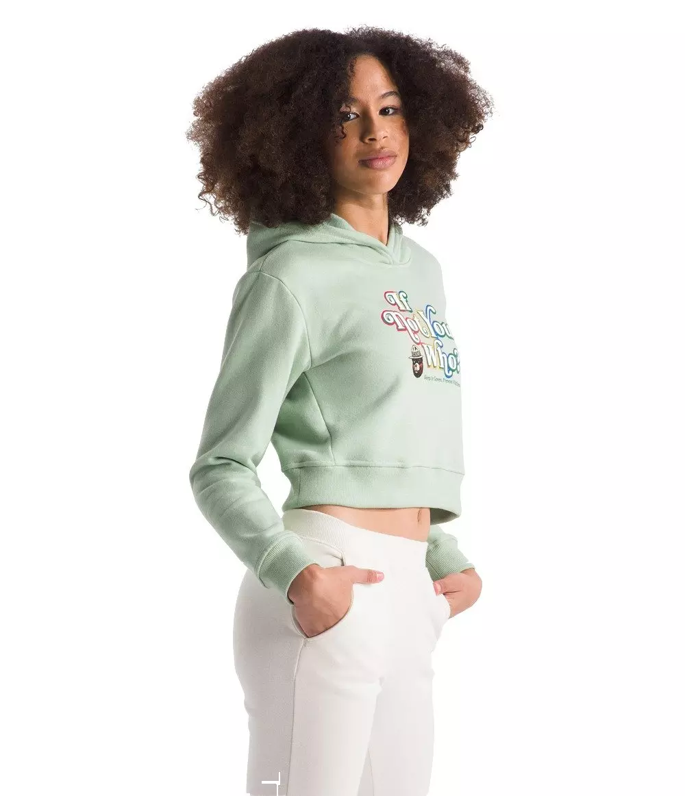 The North Face Big Girls' Camp Fleece Pullover Hoodie -Lt Green - LT GREEN