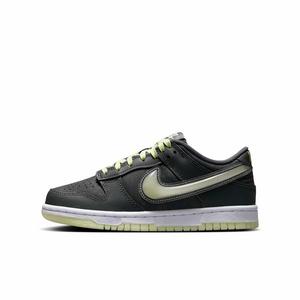 Nike Dunk Low "Iron Grey/Lime Ice/White/Cool Grey" Grade School Boys' Shoe