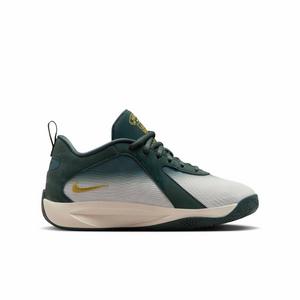 Nike Giannis Freak 6 "Vintage Green/Pale Ivory/Metallic Gold" Grade School Boys' Basketball Shoe