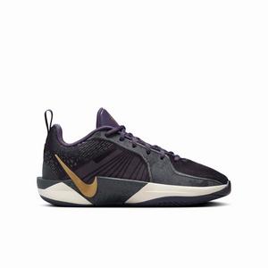 Nike Sabrina 2 "Dark Raisin/Anthracite/Pale Ivory/Metallic Gold" Grade School Boys' Basketball Shoe