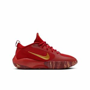 Nike IsoFly "Gym Red/Team Red/Dark Team Red/Metallic Gold" Grade School Boys' Basketball Shoe