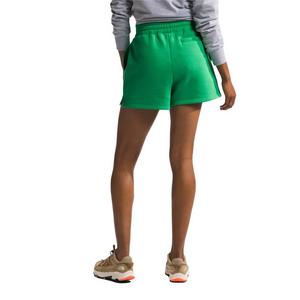 The North Face Women's Evolution Shorts