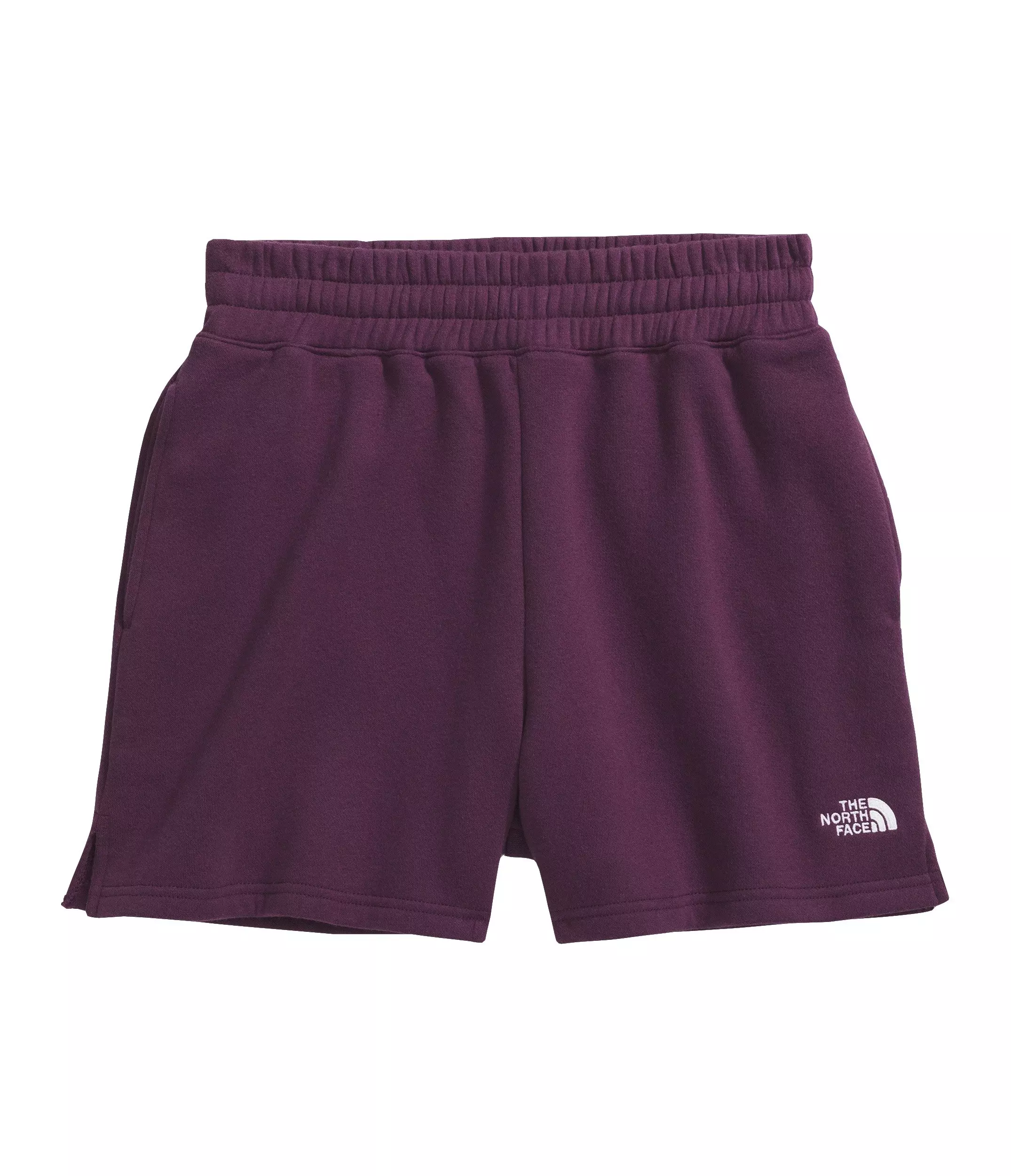 The North Face Women's Evolution Shorts - DK PURPLE
