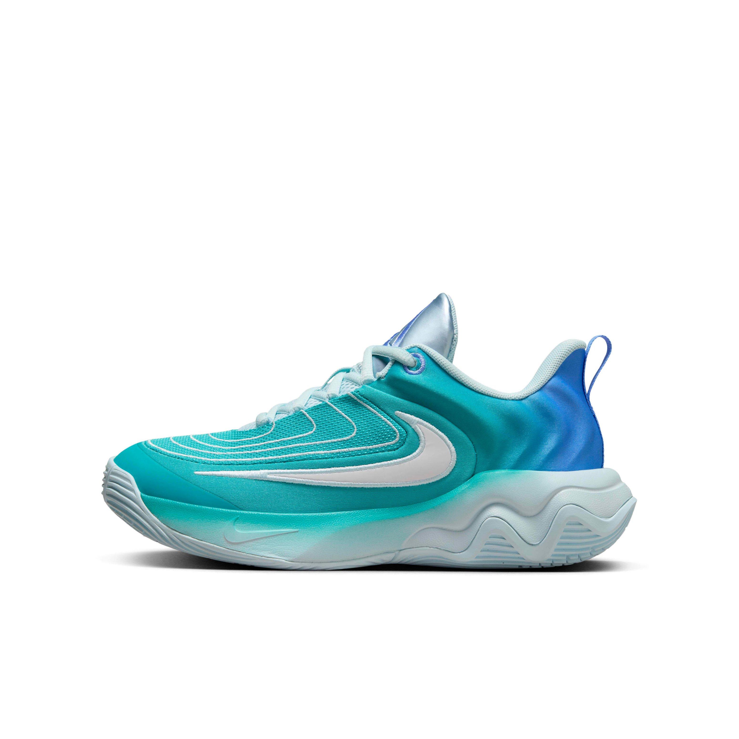 Nike Giannis Immortality 4 Grade School Boys' "Dusty Cactus/Royal/Green Frost/White" Basketball Shoe