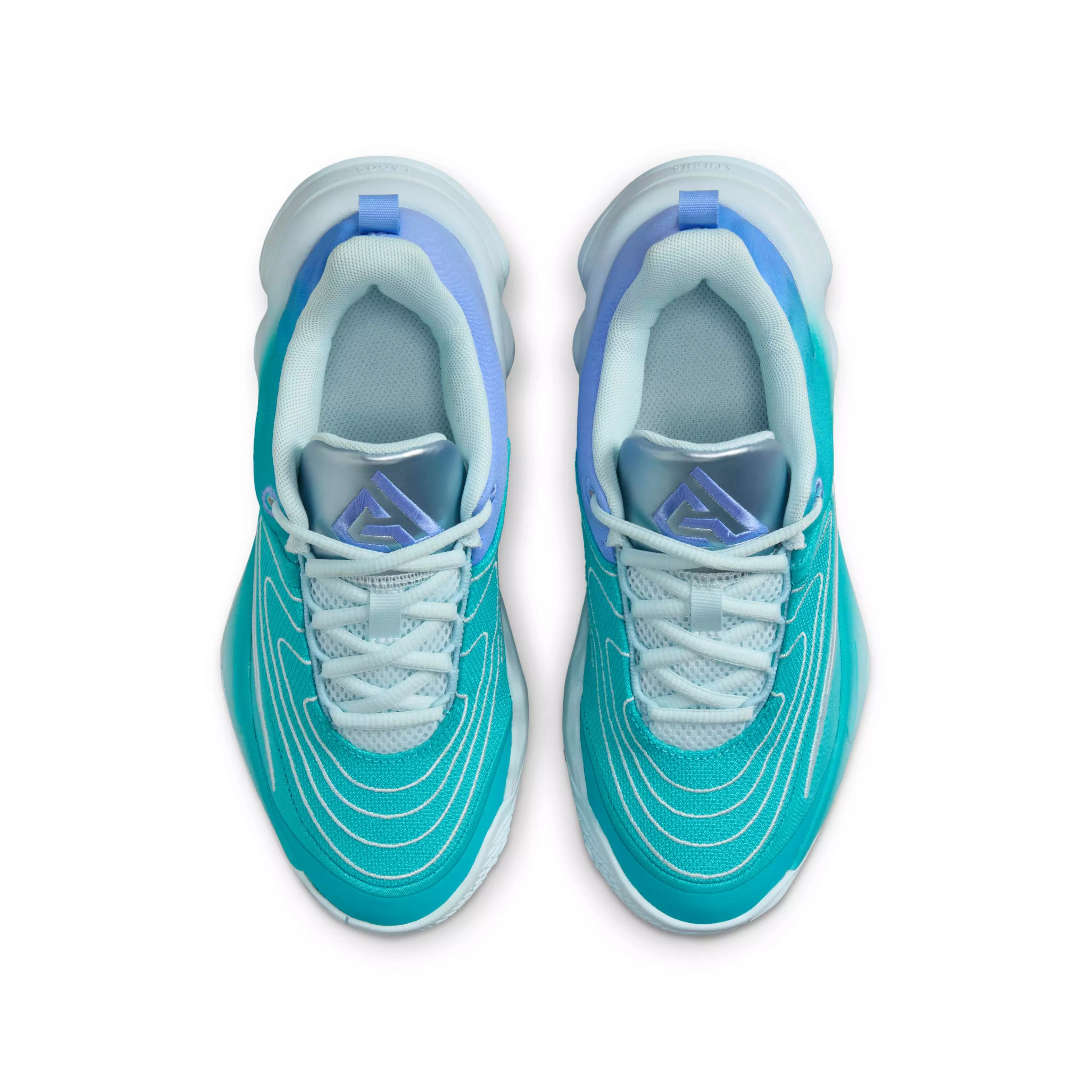 Nike Giannis Immortality 4 "Dusty Cactus/Royal/Green Frost/White" Grade School Boys' Basketball Shoe - CACTUS/ROYAL/GREEN/WHITE