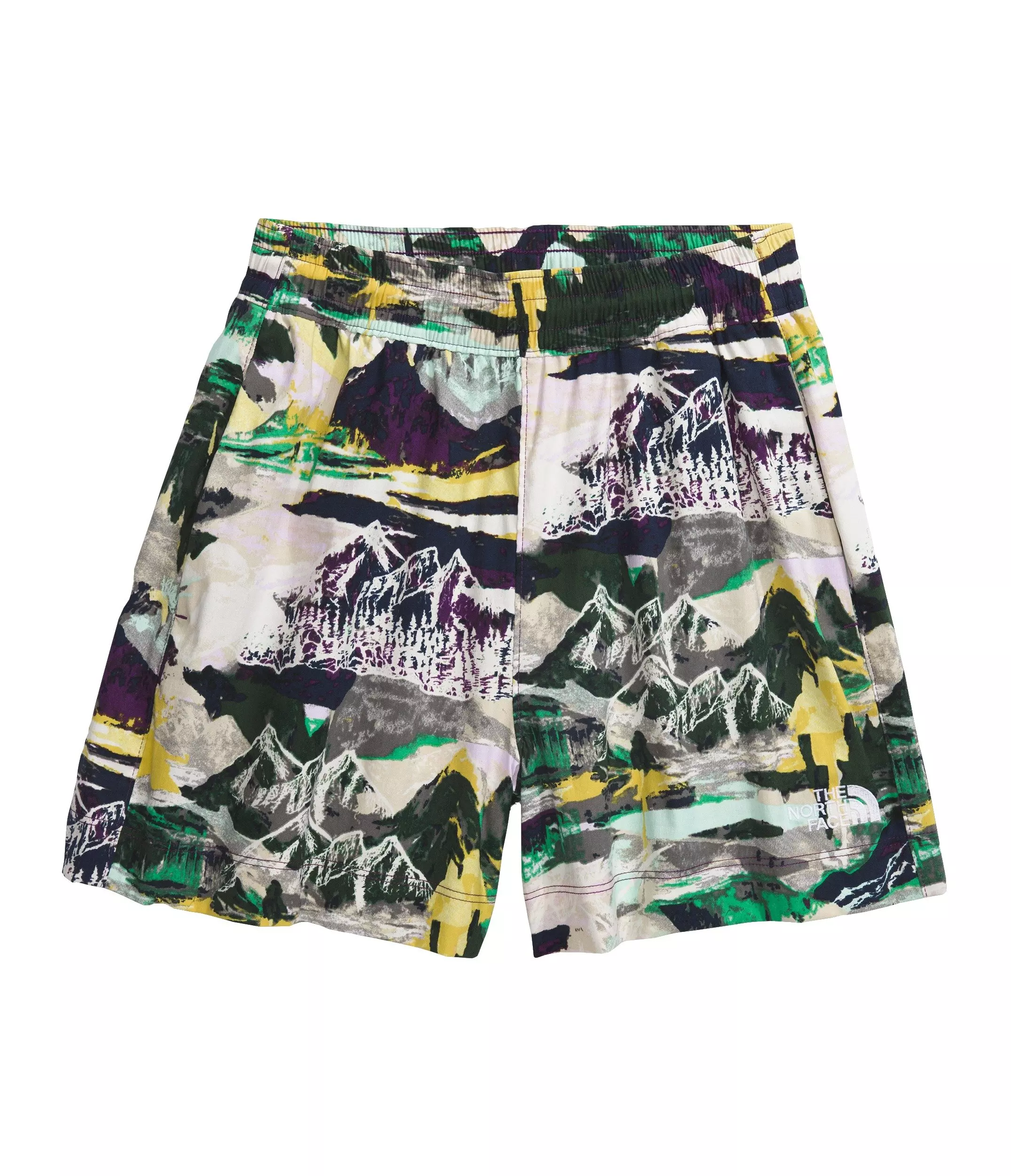 The North Face Women's Easy Wind Shorts - DK PURPLE