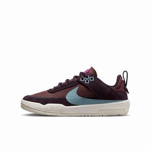 Nike SB Day One "Burgundy Ash/Dark Pony/Sail/Denim Turquoise" Grade School Girls' Skateboarding Shoe