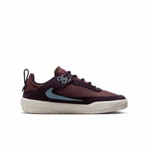 Nike SB Day One "Burgundy Ash/Dark Pony/Sail/Denim Turquoise" Grade School Girls' Skateboarding Shoe