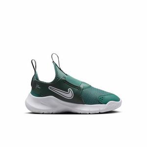 Nike Flex Runner 3 "Bicoastal/Vintage Green/White" Preschool Boys' Running Shoe
