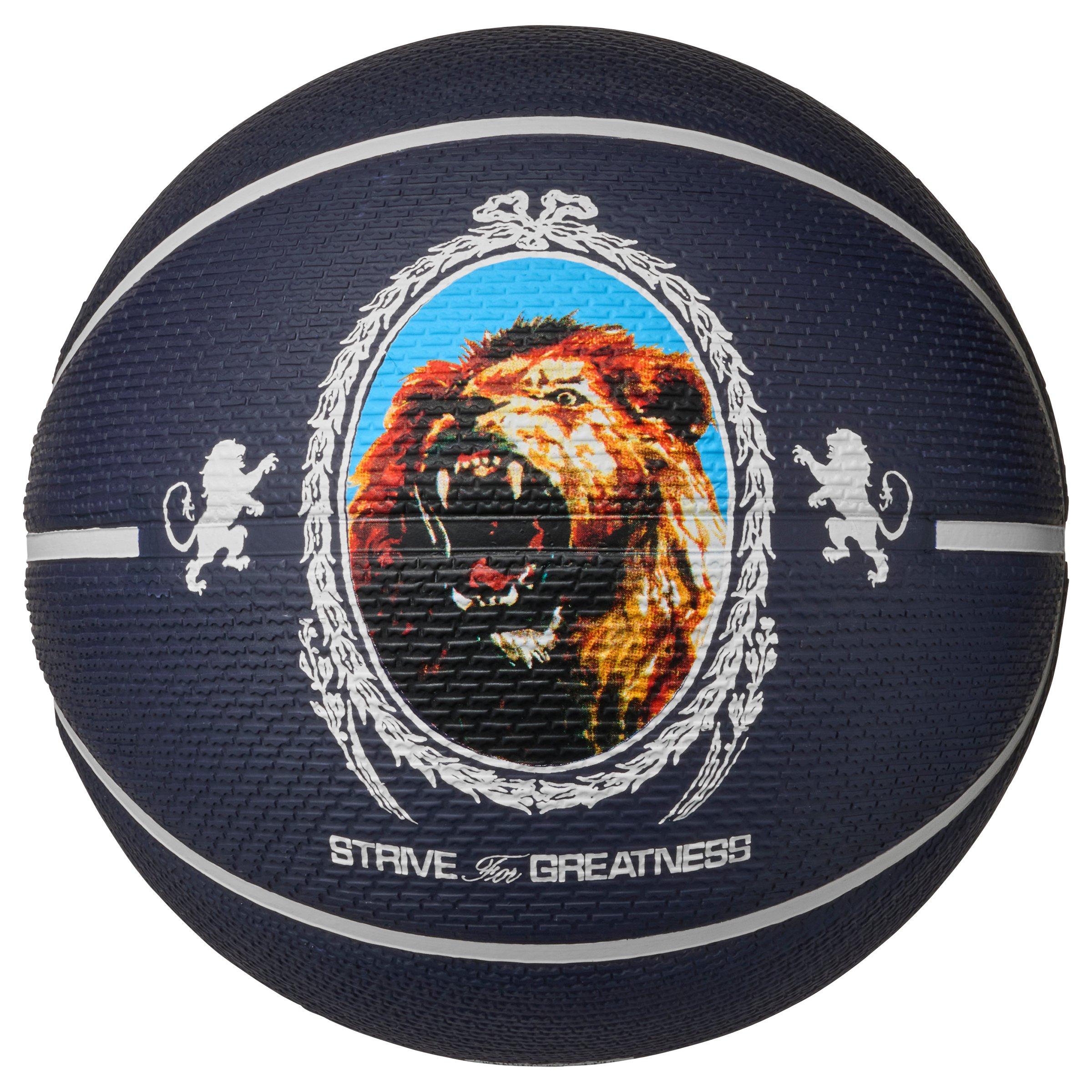 Nike Playground 8P 2.0 LeBron James Basketball - Purple/Black - PURPLE/BLACK Thumbnail View 1