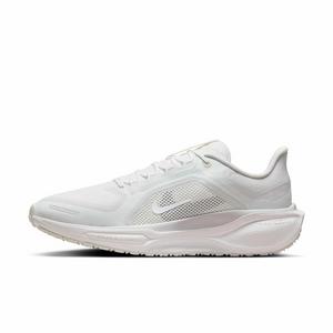 Nike Pegasus 41 GORE-TEX "Summit White/Photon Dust/Off White/White" Men's Running Shoe