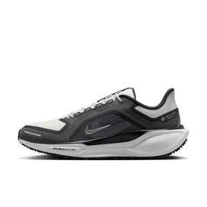 Nike Pegasus 41 GORE-TEX "Black/Anthracite/Iron Grey/Summit White" Men's Running Shoe