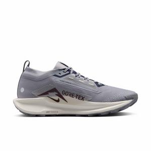 Nike Pegasus Trail 5 GORE-TEX "Cement Grey/Jade Horizon/Burgundy Crush/Midnight Navy" Men's Trail Running Shoe