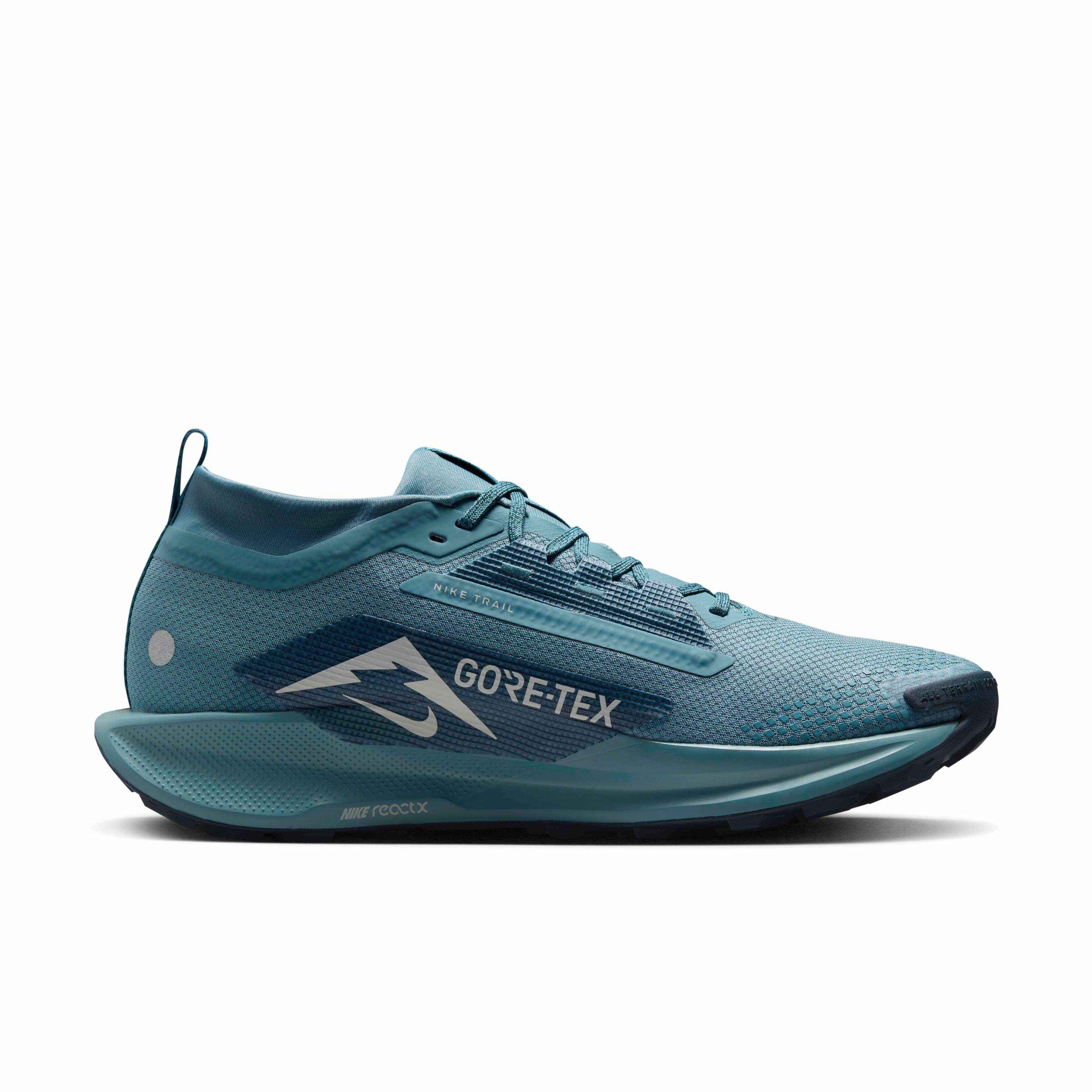Nike Pegasus Trail 5 GORE-TEX "Smokey Blue/Light Silver/Armory Navy/Smokey Blue" Men's Trail Running Shoe - BLUE/LT SILVER/NAVY/BLUE Thumbnail View 1