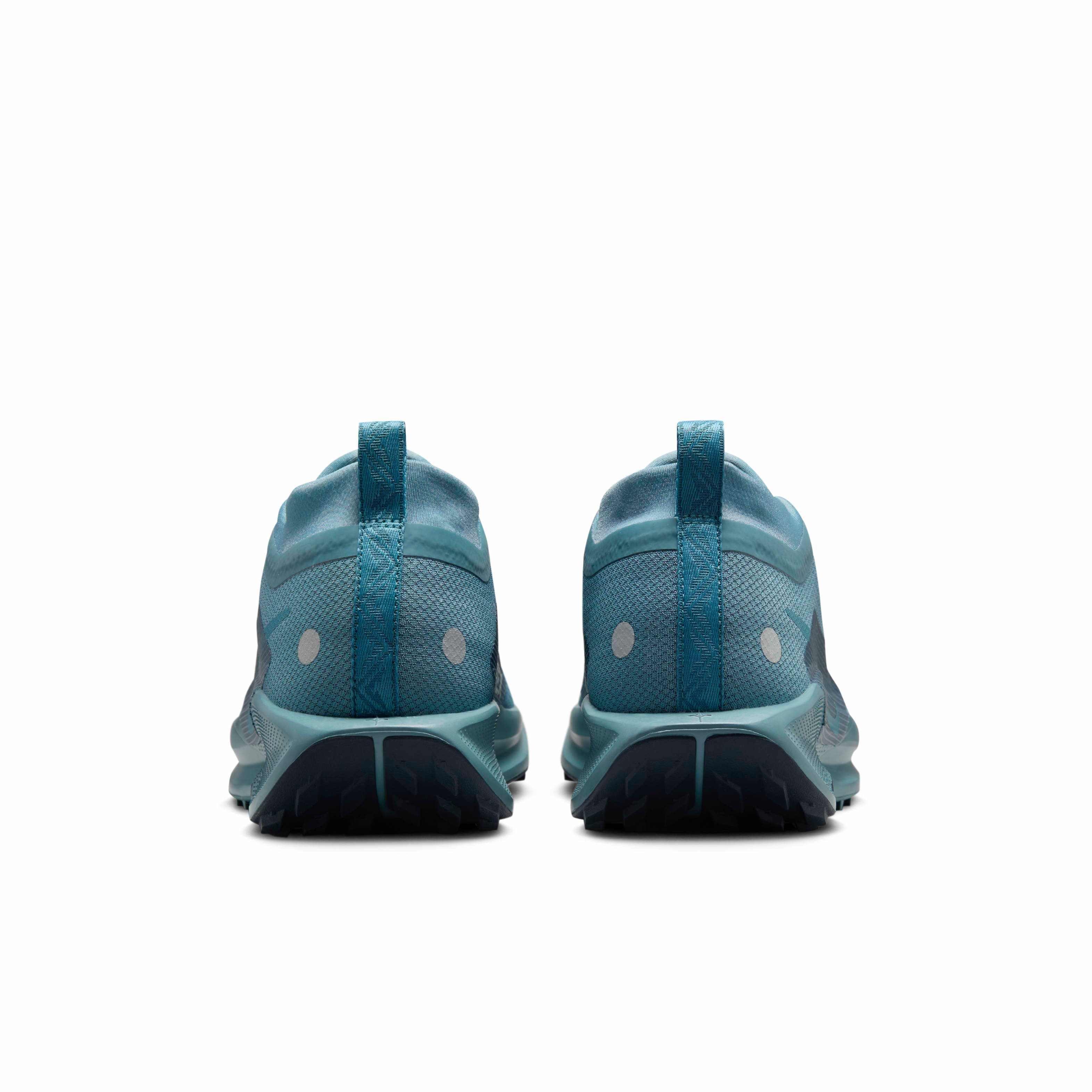 Nike Pegasus Trail 5 GORE-TEX Men display picture 1