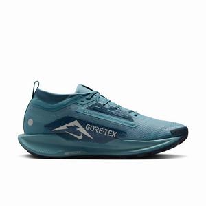 Nike Pegasus Trail 5 GORE-TEX "Smokey Blue/Light Silver/Armory Navy/Smokey Blue" Men's Trail Running Shoe