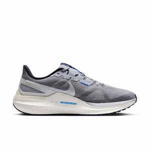 Nike Structure 25 "Smoke Grey/Wolf Grey/Sail/White" Men's Running Shoe