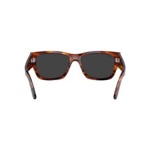 Ray-Ban Carlos Sunglasses