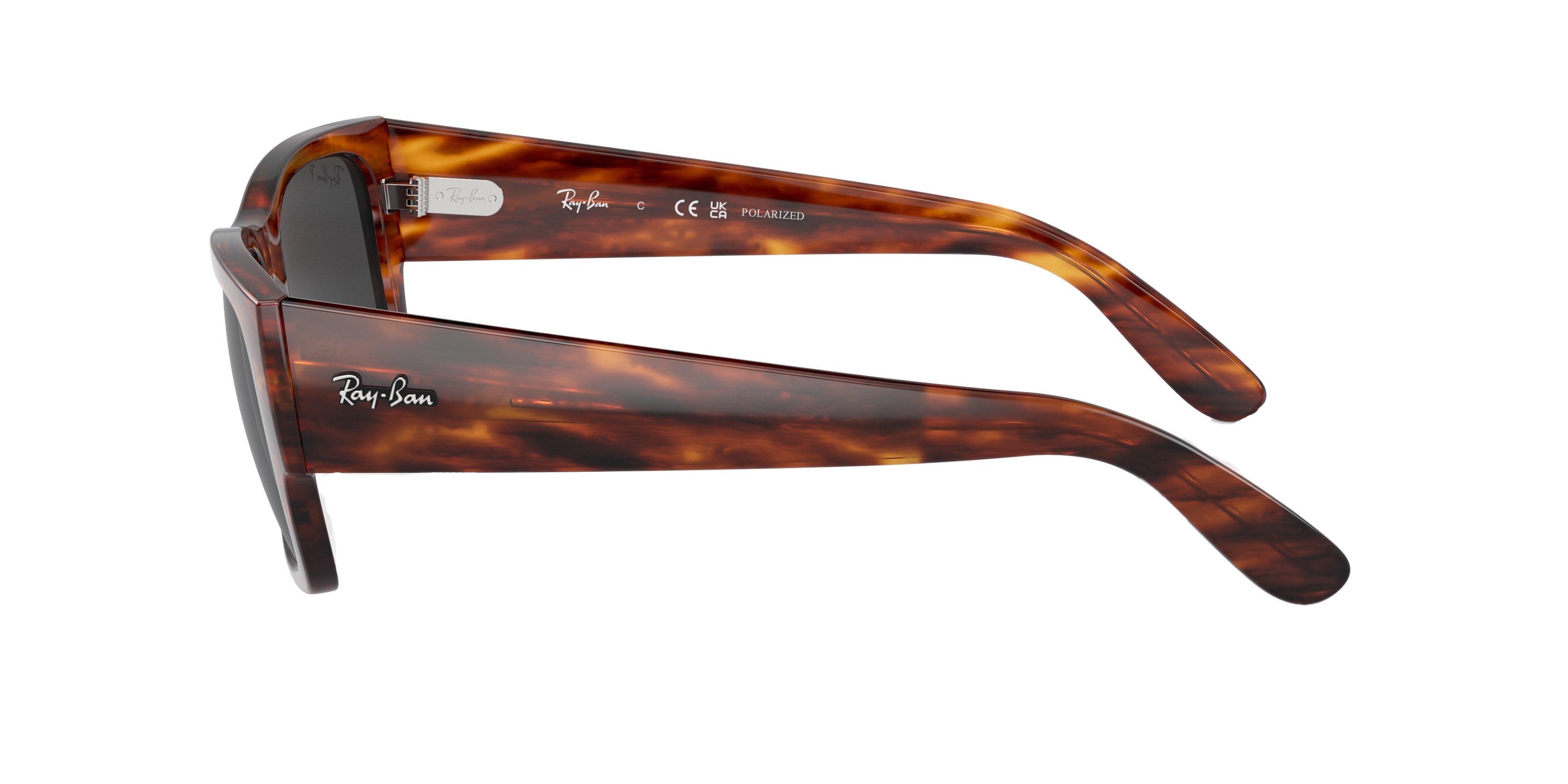 Ray-Ban Carlos Sunglasses - BROWN/GREY Thumbnail View 5
