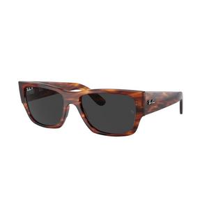 Ray-Ban Carlos Sunglasses