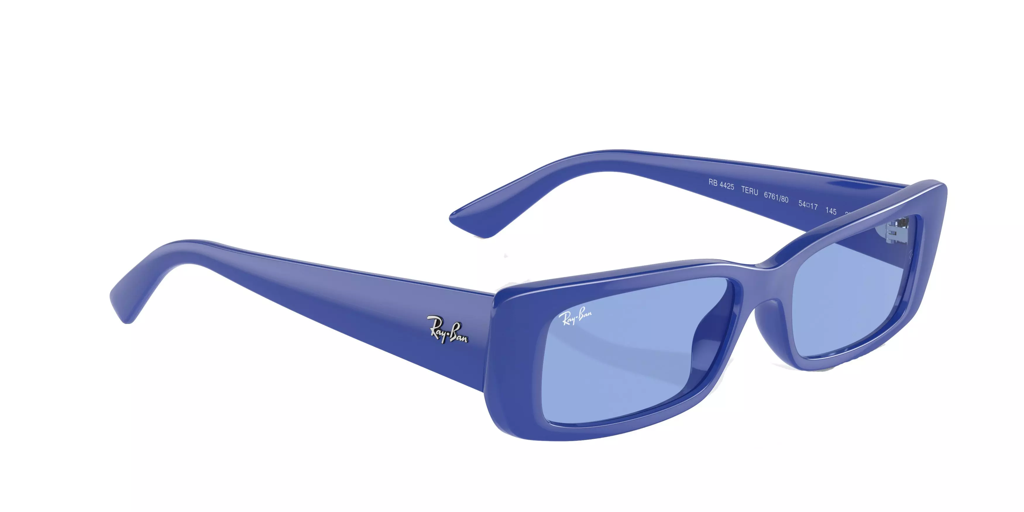 Ray-Ban Teru Sunglasses - BLUE