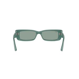 Ray-Ban Teru Sunglasses