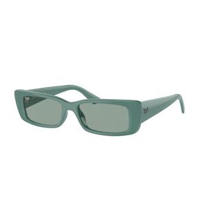 Ray-Ban Teru Sunglasses