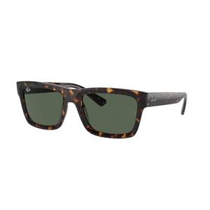 Ray-Ban Warren Bio-Based Sunglasses