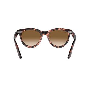 Ray-Ban Wayfarer Way Sunglasses