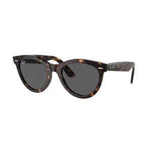 Ray-Ban Wayfarer Way Sunglasses