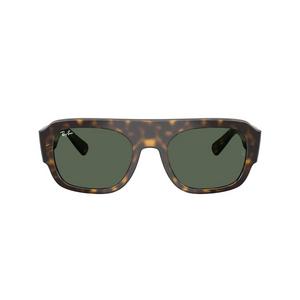Ray-Ban RB2218 Green Sunglasses – Tortoise