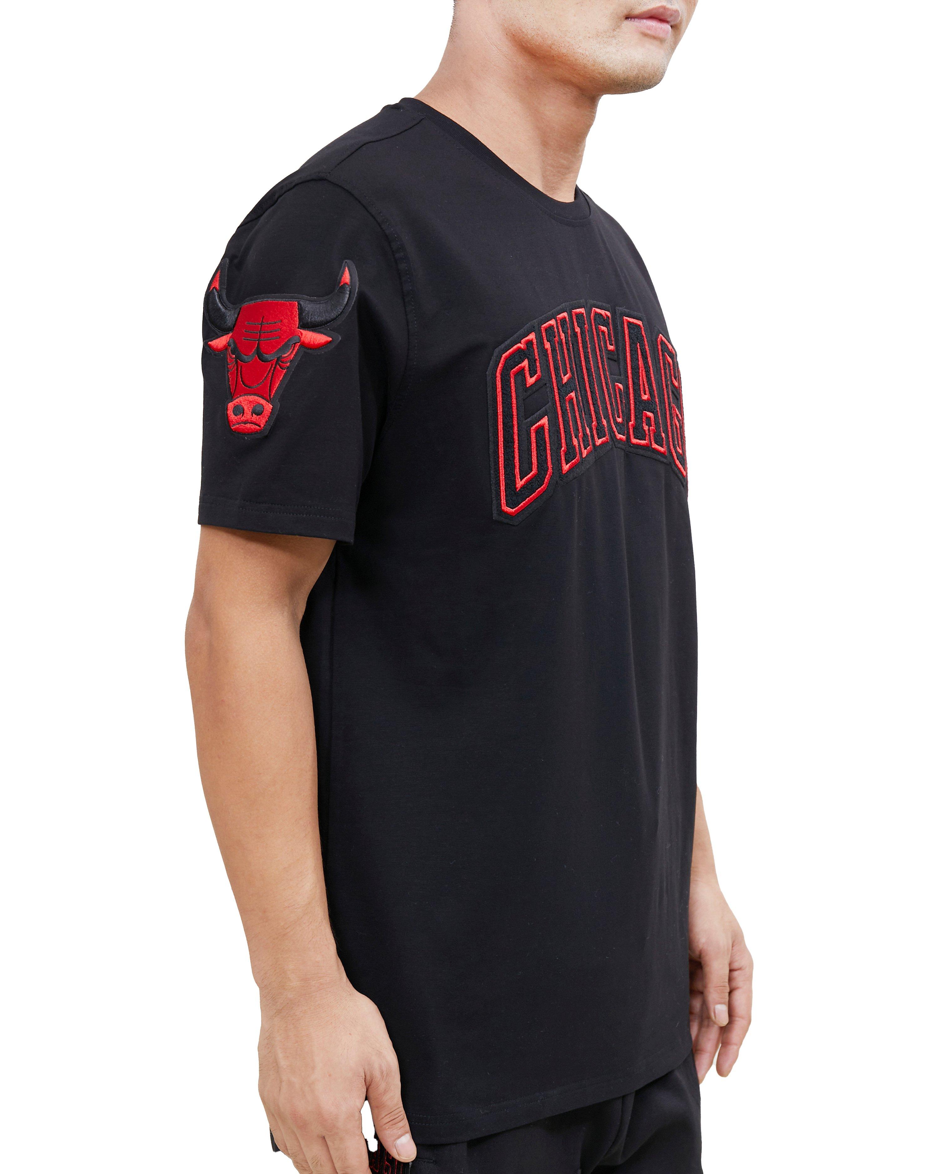 15+ Round Chicago Bulls T Shirt, Printed, Quantity Per Pack: 1