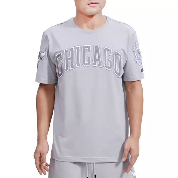 Pro Standard Men's Chicago Bulls Cool Grey 11 Patch T-Shirt - Hibbett
