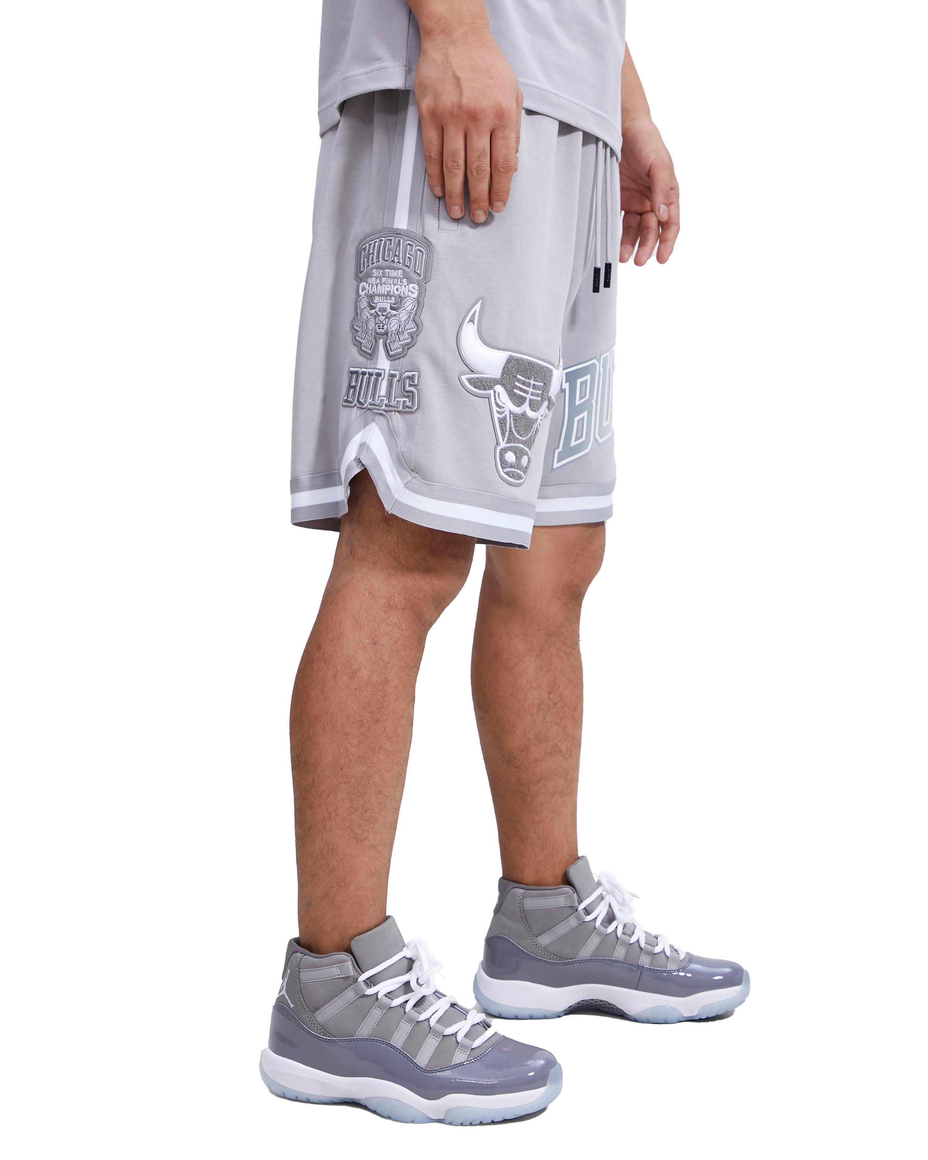 Chicago Bulls Pro Standard Cityscape Shorts