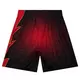 Mitchell & Ness Men's Atlanta Hawks Spray Paint Swingman Shorts - RED Thumbnail View 2