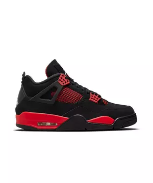 Jordan 4 "Black/Multicolor" Shoe
