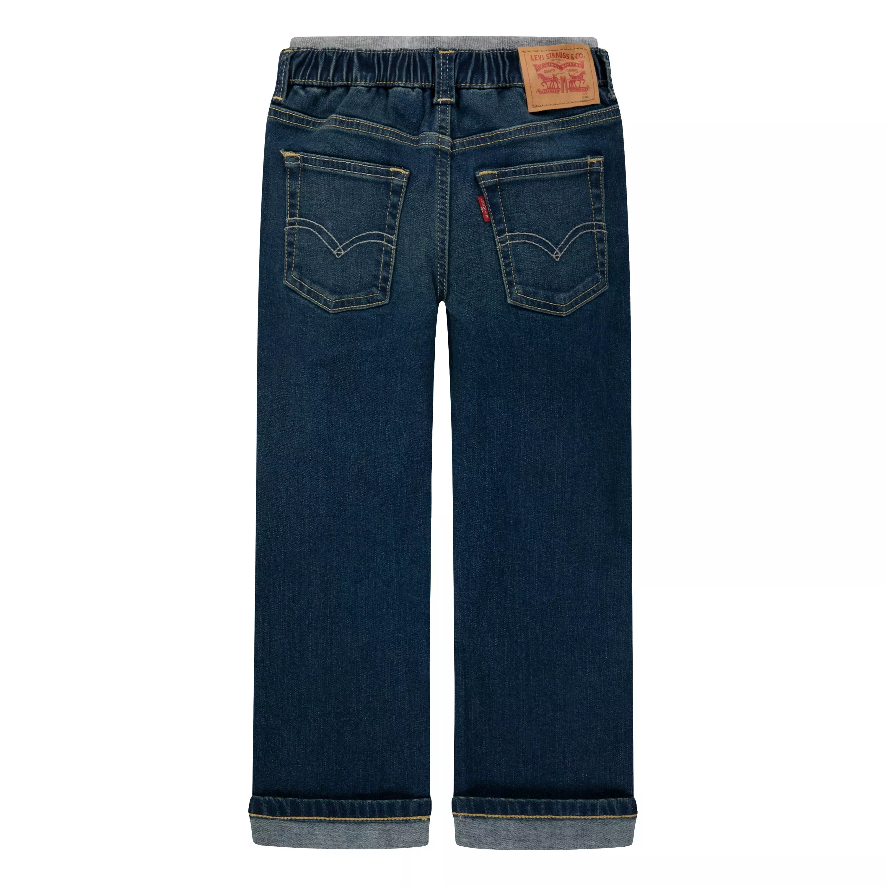 Levi's Murphy Pull On Little Boys' Covered Up Blue Pants - COVERED UP BLUE