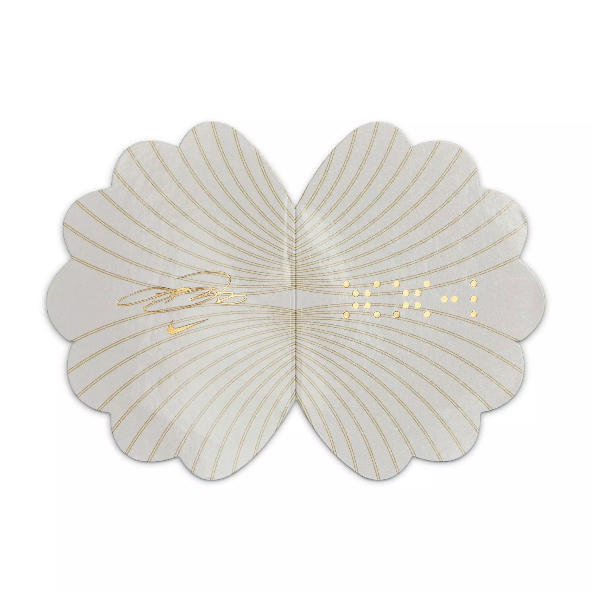 Nike LeBron XXI "Cool Grey/Iron Grey/Wolf Grey/Metallic Silver" Men's Basketball Shoe - GREY/GREY/GREY/SILVER