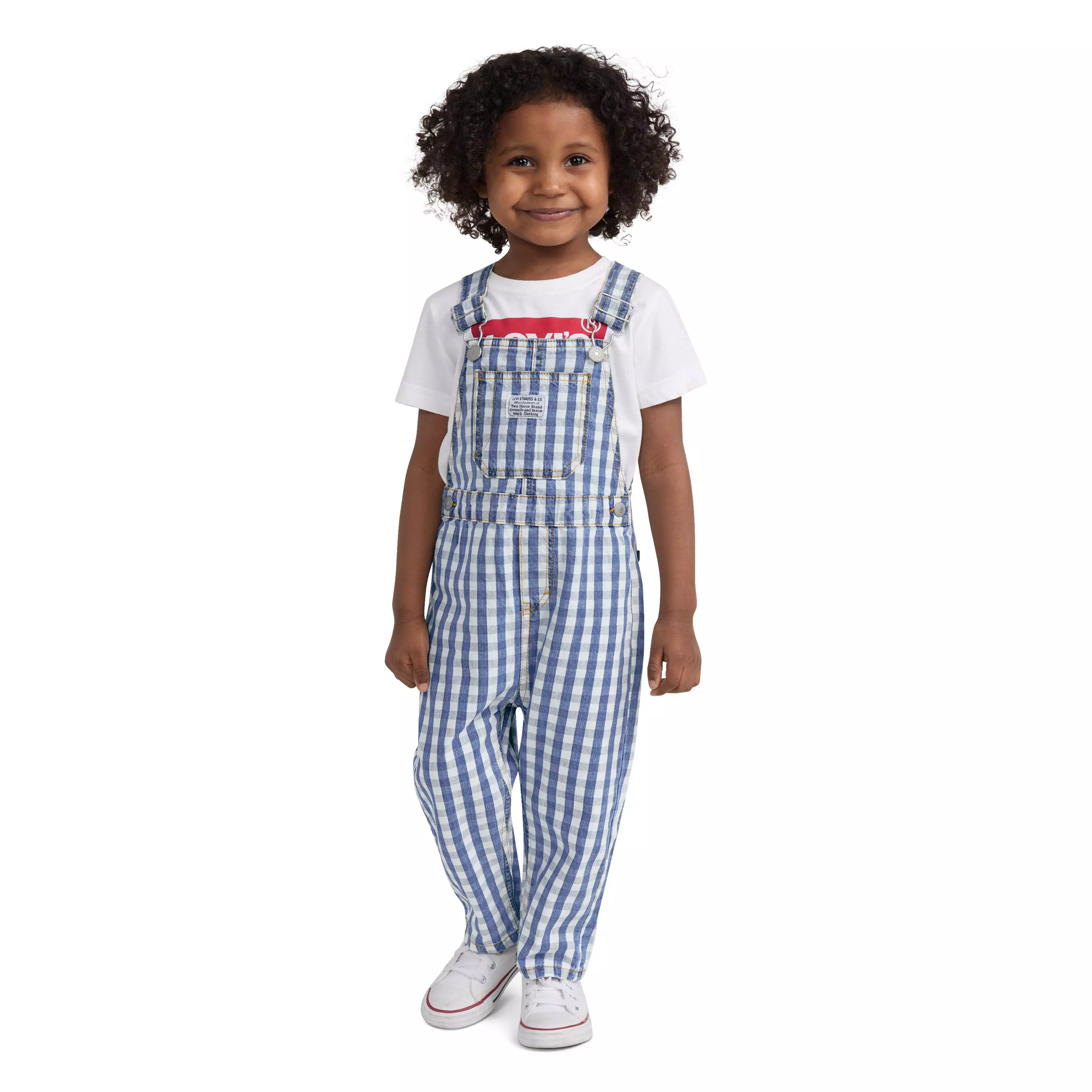 Levi's Gingham Toddler Boys' Picnic Blues Denim Overalls - PICNIC BLUES