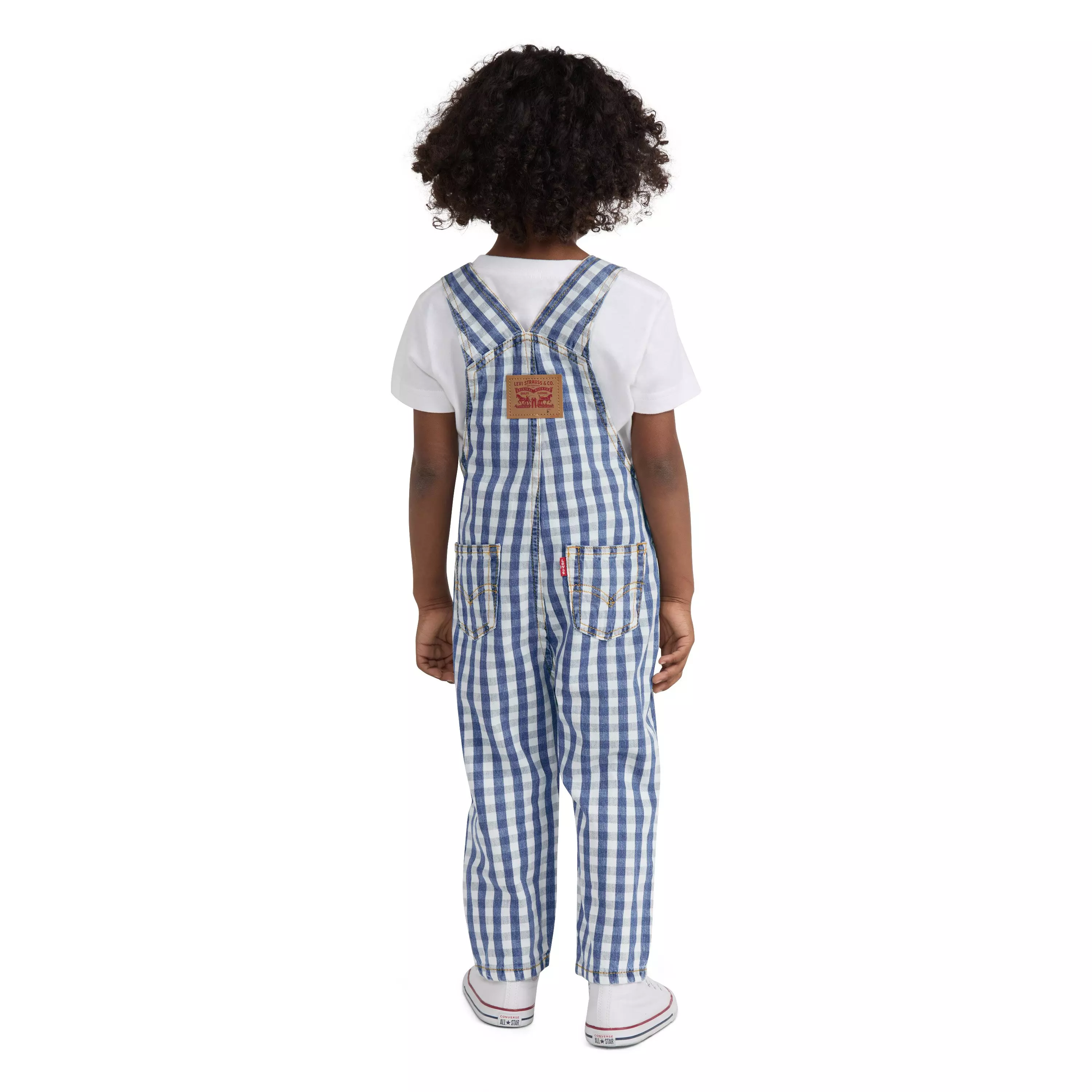 Levi's Gingham Toddler Boys' Picnic Blues Denim Overalls - PICNIC BLUES