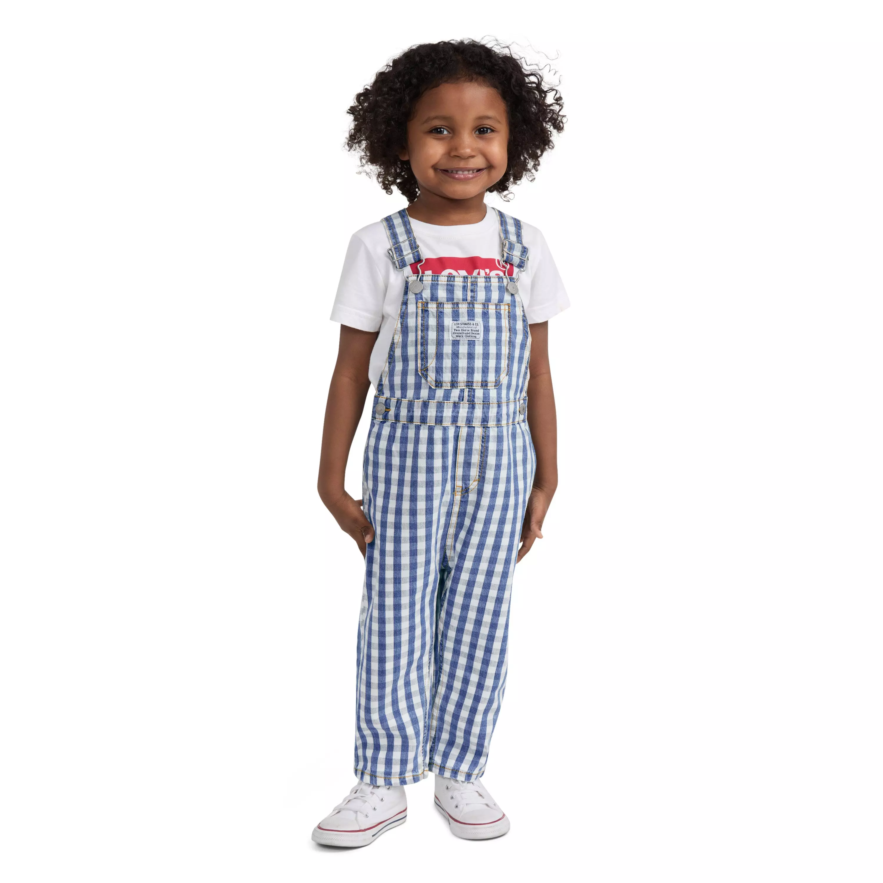 Levi's Gingham Toddler Boys' Picnic Blues Denim Overalls - PICNIC BLUES